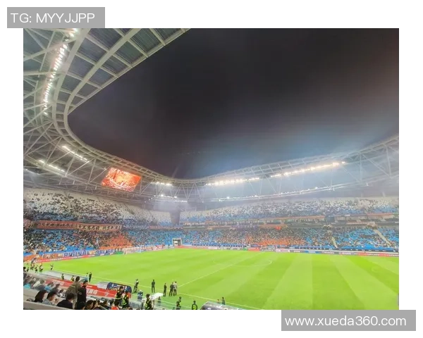 足球明星保护人揭秘如何守护球场上的璀璨星光与他们的隐私安全