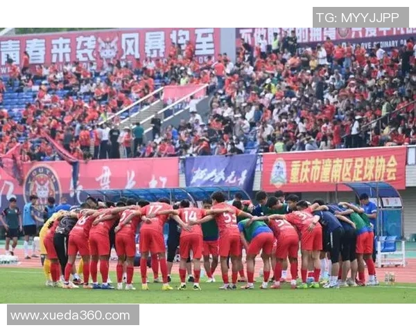 重庆乒乓球队战术引发热议球迷与专家的不同看法与分析