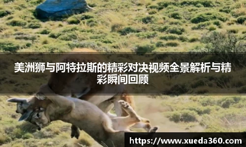 jbo竞博电竞